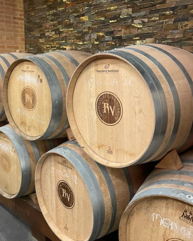 Zoom sur notre barrique 300L 

🍷 Cette barrique est dotée traditionnellement de 8 cercles galvanisés : Un talus, un contre-talus, un collet, un bouge.

Elle est disponible en douelle de 27mm d’épaisseur brute.

~

Focus on our 300L barrel

🍷 This barrel traditionally features 8 galvanized hoops: a chime hoop, a counter-chime hoop, a quarter hoop, and a bilge hoop.

It is available with 27mm thick staves in their raw form.

#tonnelleriebordelaise #tonnellerie #tonnelleriebordeaux #barriqueartisanale #barrique300L #barriques #vignoble #wine #artisanat #madeinfrance #artisanatfrancais🇫🇷