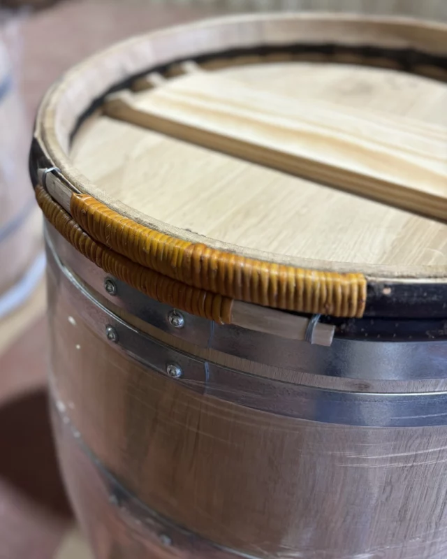 Surtout choisis pour leur esthétique et pour faire honneur à la tradition, le châtaignier et le vîme sont des éléments emblématiques de nos barriques bordelaises château tradition.🍷🍇

Historiquement, les cercles en châtaignier protégeaient les barriques lors du déchargement sur les quais et servaient d’indicateur en cas d’invasion d’insectes dans les chais.

~

Primarily chosen for their aesthetics and to honor tradition, chestnut wood and wicker are iconic elements of our Bordeaux Château Tradition barrels.🍷🍇

Historically, chestnut hoops protected the barrels during unloading on the docks and served as an indicator in case of insect infestations in the cellars.

#tonnelleriebordelaise #tonnellerie #cercleschataignier #vîme #barriques #barriquesvin #grandscrusclassés #artisanat #barriquesbordelaises #artisanatfrançais #vinsdebordeaux #wine