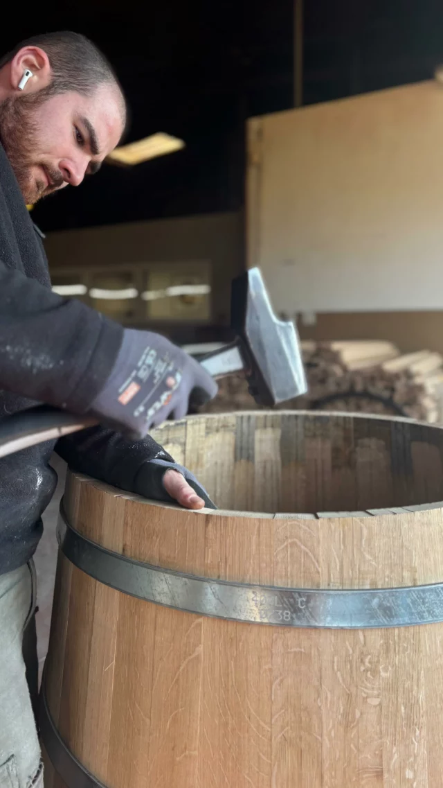 💬 Romain, tonnelier à la @tonnellerie_bordelaise depuis 2020, a répondu à nos questions ⬇️

👉 Qu’est ce qui te passionne le plus dans le métier de tonnelier ? 

« Ce que j’aime le plus dans mon métier c’est de transformer du bois qui a 100 voir même par fois 200 ans, en un objet unique qui va accueillir les plus grands vins du monde. »

👉 Quelle est la partie du processus que tu préfères ? 

« Ma partie préféré est la finition car une fois le ponçage et les cercles de finition posés, c’est à cette étape que la barrique nous dévoile enfin sa teinte finale et sa beauté qui était jusque là, caché sous les traces des cercles de batissure. »

👉 Comment es-tu tombé dans le métier de tonnelier ?

« J’ai découvert le métier de tonnelier grâce à l’un des meilleurs amis de mon père. Lorsque je cherchais un stage de 3ème, il s’est proposé de me prendre afin de me faire découvrir son métier. »

👉 Quels conseils donnerais-tu à quelqu’un qui voudrait se lancer dans ce métier ?

« Très souvent lorsqu’on arrive en Tonnellerie, les autres tonneliers vous disent que c’est un métier de bourrin mais ce n’est pas ce que j’ai découvert. Afin d’être un bon tonnelier, il ne suffit pas de taper sur des cercles très fort, il faut beaucoup de minutie et un très bon sens de la compréhension de l’anatomie du bois. »

#tonnelleriebordelaise #tonnellerie #barriques #artisanat #tonnelier #savoirfaire #madeinfrance
