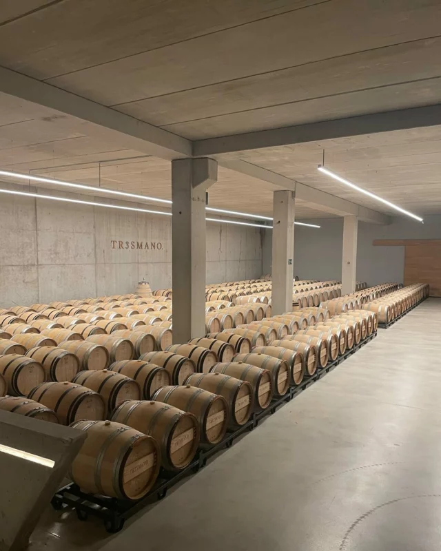 Semaine dernière visite de nos clients en Espagne (Rioja, Ribera del Duero, Rueda, Toro). 

Suivi des fûts 2024🍷🌳🇪🇸

~

Last week, we visited our clients in Spain (Rioja, Ribera del Duero, Rueda, Toro).

Follow-up on the 2024 barrels 🍷🌳🇪🇸

#tonnelleriebordelaise #tonnellerie #barriques #fûts #rioja #riberadelduero #rueda #toro #artisanatfrançais🇫🇷