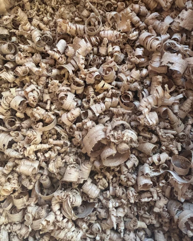 Les copeaux, discrets témoins du façonnage de nos fûts. ⚒

~

Shavings, discreet witnesses to the shaping of our barrels. ⚒

#tonnellerie #bois #fûts #artisanat #savoirfairefrancais #tonneaux #barriques #wine #vin